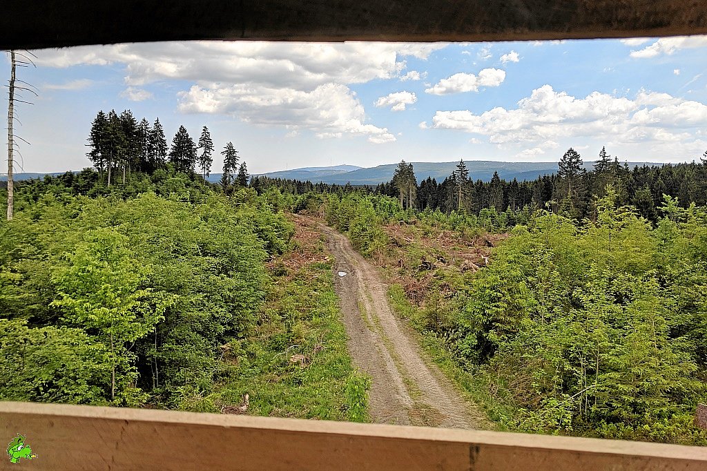 Mit dem MTB im Harz (O7)