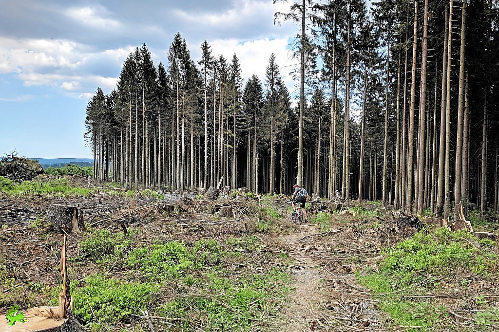 Mit dem MTB im Harz (O7)